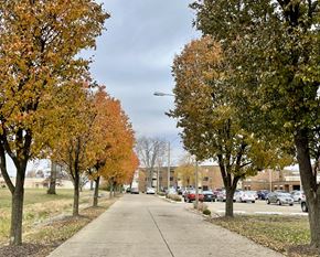 Centralia apartment for rent - A tree-lined street with autumn leaves on the ground.