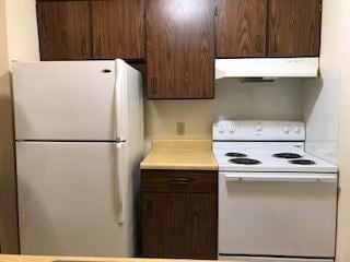 Marion apartment for rent - A white refrigerator and stove top oven in a kitchen.