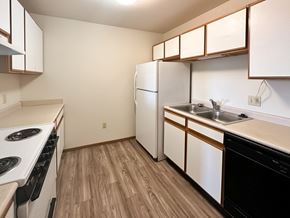 Savoy apartment for rent - a view of a kitchen with a stove refrigerator and sink