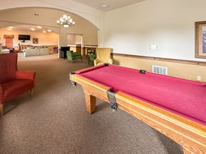 Savoy apartment for rent - a game room with a pink pool table