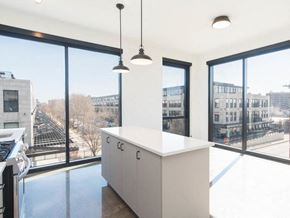 Chicago apartment for rent - apartments-at-the-rosie-in-pilsen-little-italy-1461-s-blue-island-ave-flats-life-1.jpg