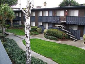 San Jose apartment for rent - Courtyard