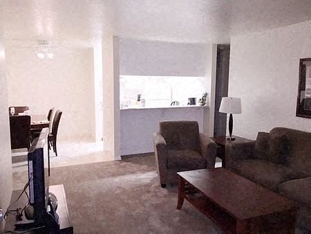 San Jose apartment for rent - Living Room