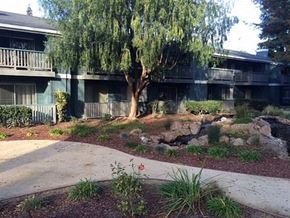 San Jose apartment for rent - Courtyard