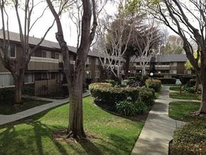 Santa Clara apartment for rent - Courtyard