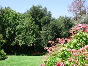 Vallejo apartment for rent - Picnic Area