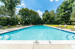 Mayfield Heights apartment for rent - A large swimming pool surrounded by trees and lounge chairs.
