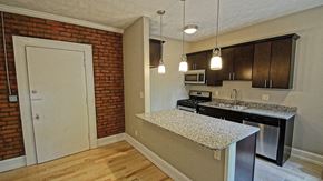 Cleveland Heights apartment for rent - New Renovation