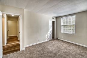 Shaker Heights apartment for rent - an empty living room with carpet and a window