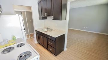 Berea apartment for rent - a kitchen with a stove and a sink and a refrigerator