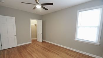 Ceiling fan