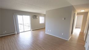 Medina apartment for rent - Updated living area with plank flooring