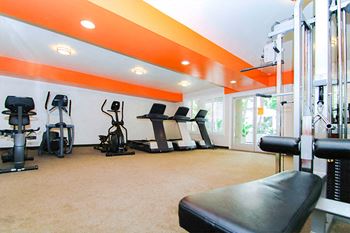Fitness center with treadmills and weight equipment
