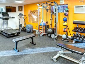Los Angeles apartment for rent - a gym with weights and cardio equipment in a home gym