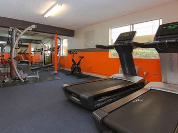 Community gym featuring treadmills and weight equipment