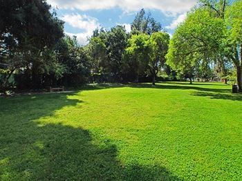 Woodbridge park, a pet-friendly park and play space, accessible from the building