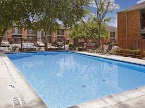 San Antonio apartment for rent - Sparkling blue pool