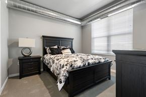 Hastings apartment for rent - 1 Bedroom Bedroom