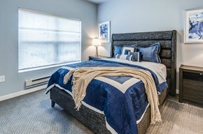 Burnsville apartment for rent - Bedroom