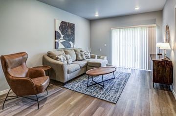 Burnsville apartment for rent - A living room with a brown leather chair and a grey sofa.