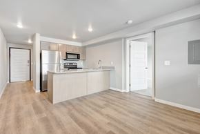 Mitchell apartment for rent - Kitchen and Living Area