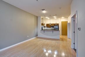 San Antonio apartment for rent - Shiny hardwood floors in organic finishing apartment Living Room at The Mosaic on Broadway, San Antonio, TX, 78215
