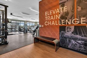 Ewing apartment for rent - Interior photo of the community gym inside the clubhouse at Ewing Town Center showing multiple strength and cardio exercise machines.