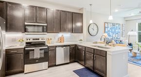 Grand Prairie apartment for rent - A modern kitchen with dark brown cabinets and stainless steel appliances.