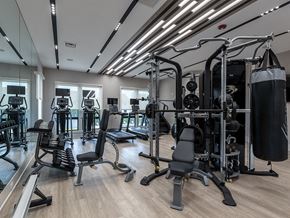 Plainsboro apartment for rent - Gym with weights machines and other exercise equipment at The Crest at Princeton Meadows, Plainsboro, NJ.