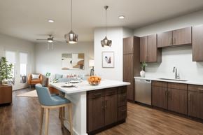 Kissimmee apartment for rent - A modern kitchen with a dining area and a plant.