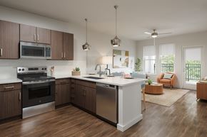 Kissimmee apartment for rent - A modern kitchen with dark wood cabinets and stainless steel appliances.