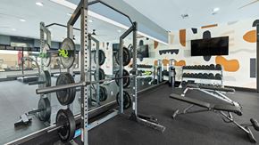 Justin apartment for rent - Weight training area in the Reatta Ranch Justin, TX gym, with squat racks, barbells, dumbbells, and fitness benches on a rubber floor.