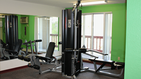 Oakdale apartment for rent - a home gym with exercise equipment in a room with green walls