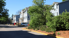 Cottage Grove townhouse for rent - a row of houses on the side of a street