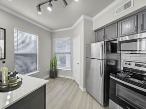 Carrollton townhouse for rent - Kitchen with stainless steel appliances, dark cabinetry, track lighting, and large windows.