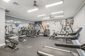 Houston apartment for rent - A well-equipped gym with various exercise machines and weights.