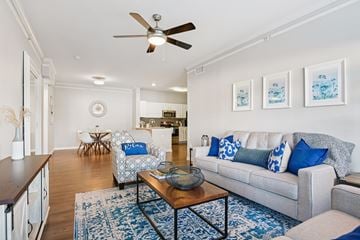 Fort Worth apartment for rent - A living room with a grey couch and a blue rug.