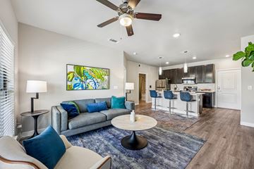 Katy apartment for rent - A living room with a grey couch and a blue rug.