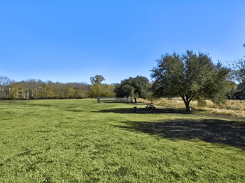 Open park-like grounds