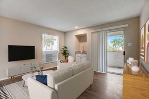 Austin apartment for rent - a living room with a couch and a tv
