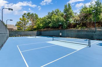 Pickleball court