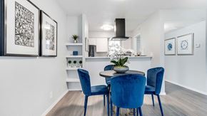 Arlington apartment for rent - a dining room with blue chairs and a table
