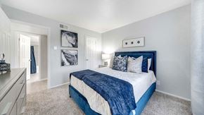 Arlington apartment for rent - a bedroom with a bed and a closet