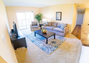St. Marys apartment for rent - A living room with a grey couch, a coffee table, a television, and a rug.