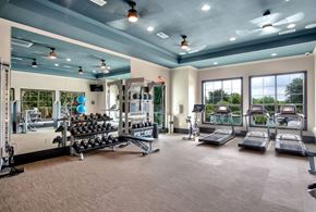 Austin apartment for rent - Parkview Terraces fitness center with free weights, treadmills, and large windows.
