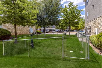 Dog park