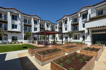 Community garden