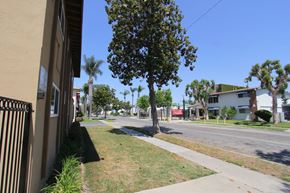 Garden Grove apartment for rent - A tree in a grassy area in front of a building.