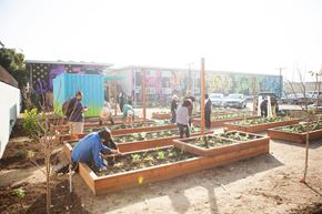 Santa Ana townhouse for rent - A man is working in a garden with raised beds.