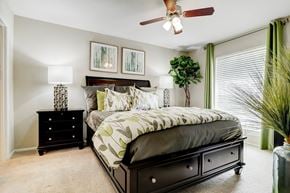 Houston apartment for rent - Bedroom